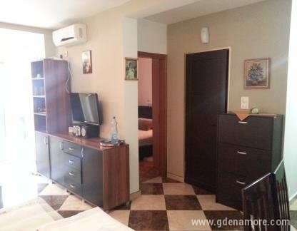 Olive grove, private accommodation in city Rafailovići, Montenegro - Apartman Maslinjak